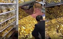Tịch thu 13,5 tấn vàng trị giá 47 nghìn tỷ đồng phủ kín sàn tại một biệt thự