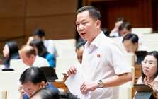 Đề xuất đưa kim cương vào ngành nghề kinh doanh có điều kiện