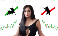 Hoa hậu Mai Phương Thúy từng xuất hiện tại những doanh nghiệp nào?