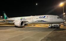 2 ngày trước - 5/8, sân bay Tân Sơn Nhất ghi nhận một máy bay lạ cất cánh