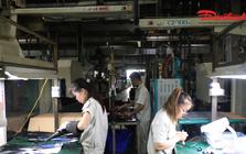 Chính phủ đề xuất giảm 30% thuế thu nhập cho hộ kinh doanh, doanh nghiệp có doanh thu đến 10 tỷ đồng