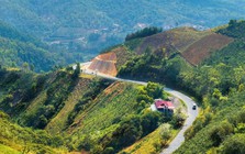 Người dân sống tại tỉnh nào có thu nhập bình quân thấp nhất Việt Nam, chỉ 2,5 triệu đồng?
