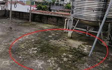 Lời khuyên cho những gia đình lâu ngày không vệ sinh sân thượng