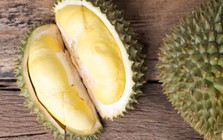 Sầu riêng đắt nhất thế giới 1,2 tỷ đồng/quả có gì đặc biệt?
