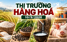 Thị trường hàng hóa ngày 10/9: Giá tiêu bật tăng mạnh, cao su bứt phá