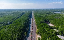 DN của tỷ phú Phạm Nhật Vượng đang xây nút giao gần 3.000 tỷ đồng ở Cần Giờ: Điểm đầu của tuyến đường xuyên rừng ngập mặn dự kiến mở lên 10 làn, nối tới đại đô thị lấn biển 2.870ha