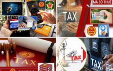 Cục Thuế: Chấm dứt hiệu lực mã số thuế phải hoàn thành nghĩa vụ hóa đơn, tiền thuế