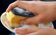 Lời khuyên cho những gia đình sử dụng miếng giẻ rửa bát