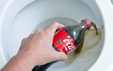 Vì sao ngày càng nhiều gia đình thích đổ coca-cola vào bồn cầu?