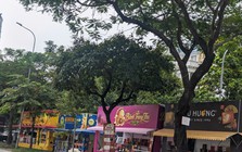 Thị trường bánh trung thu 2026 trầm lắng