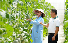 BIDV tiếp dòng tài chính, cùng khách hàng tiếp nối thành tựu