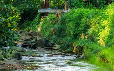 Mê mẩn sắc thu trên non thiêng Yên Tử