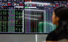 Nhóm Gelex đồng loạt giảm sàn, VN-Index rời xa mốc 1.800 điểm