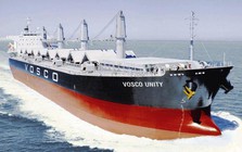 “Ông lớn” vận tải biển Việt Nam sắp chi gần 130 tỷ đồng trả cổ tức