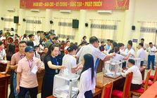 Nhiều lô đất tại ven Hà Nội được trúng đấu giá hơn 100 triệu đồng/m2