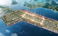Một doanh nghiệp chuẩn bị làm 4 bến cảng 45.000 tỷ đồng tại Hải Phòng, khởi công ngay trong năm nay