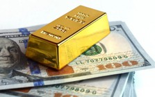 Dự báo giá USD thời gian tới
