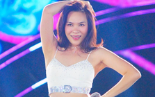 Thu nhập của Mỹ Tâm