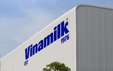 Vinamilk bị HOSE nhắc nhở 