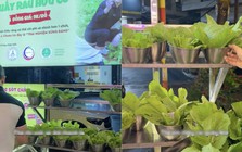 Chuỗi nướng A Choén bất ngờ tính tiền rau 9.000 đồng/rổ, ông chủ nói gì?