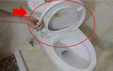 Lời khuyên cho tất cả các gia đình không đậy nắp bồn cầu trước khi xả