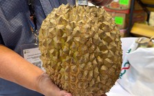 Sầu riêng Việt Nam có đối thủ mới ở Đông Nam Á, sản lượng dự kiến đạt 150 triệu kg, 90% xuất khẩu vẫn phụ thuộc một thị trường