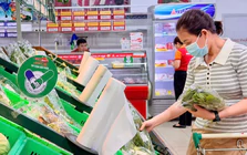 Hơn 51.800 doanh nghiệp TPHCM gia nhập và quay trở lại thị trường