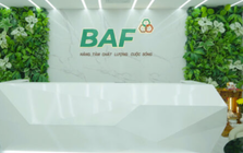 BAF Việt Nam bổ nhiệm Phó Tổng Giám đốc