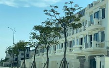 Hà Nội đề xuất chấm dứt 7 dự án chậm triển khai