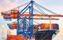 Gemadept chuẩn bị chia cổ phiếu thưởng tỷ lệ 50%