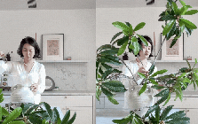 Biết tuyệt chiêu cắm hoa này, bạn chẳng cần tốn tiền mua cây: Cành lá ven đường qua tay chủ nhân hóa tuyệt tác!