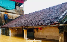 Hà Nội: Ngập gần tới mái nhà, người dân tất tả chạy lũ