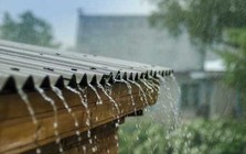 Lời khuyên cho tất cả các gia đình dùng nước mưa để uống và nấu ăn