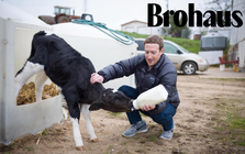 Trại bò của Mark Zuckerberg