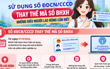 Sử dụng số căn cước công dân thay thế mã số BHXH: Những điều người lao động cần biết