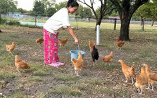 Nữ ca sĩ Việt sinh năm 1978 qua Mỹ hơn 20 năm vẫn nổi tiếng, thích trồng rau, nuôi gà trong ngôi nhà 1.400 m2