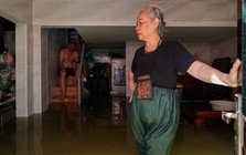Hà Nội: 5 ngày người dân Tứ Liên sống chật vật trong cảnh ngập lụt
