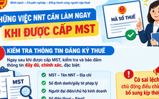 Ngay sau khi được cấp mã số thuế, người nộp thuế cần làm gì?