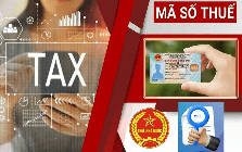 Cơ quan thuế thông báo quan trọng: Người vừa được cấp mã số thuế cần kiểm tra ngay 5 thông tin