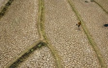 Châu Á gấp rút ứng phó 'siêu' El Nino