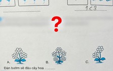 Bài Toán về đàn bướm khiến hội phụ huynh đọc xong "hoa mắt chóng mặt": Sao mà rắc rối quá!