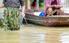 Biển nước bủa vây ngoại thành Hà Nội, hàng hóa tiền tỷ chìm trong nước: “Năm nay chẳng nghĩ gì đến Tết”