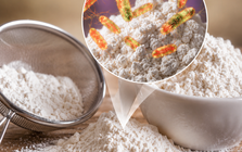 6 thứ trong bếp có thể chứa vi khuẩn Salmonella: Có loại nằm ngay trên kệ gia vị