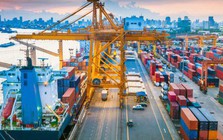 Nhật Bản báo tin cực vui đến Việt Nam