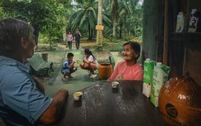 Tái sinh vườn dừa: Lời tri ân từ một doanh nghiệp nửa thế kỷ gắn bó với cây dừa