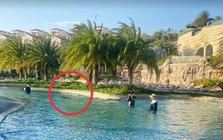 Vụ bé 11 tuổi người Nhật tử vong ở hồ bơi tại resort: Khởi tố bị can Nguyễn Quốc Quân SN 1961