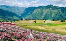 Phát hiện địa danh Việt Nam lọt Top 10 đẹp nhất thế giới, có thảo nguyên rộng 90 ha như "Thụy Sĩ thu nhỏ"