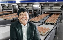 Bên trong tổ hợp sản xuất 1 triệu quả trứng/ngày của tỷ phú Trần Đình Long: 1,2 triệu con gà, thu gần 350 tỷ đồng trong 6 tháng