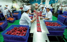 Một doanh nghiệp sắp chi hơn 1.500 tỷ đồng để di dời nhà máy khỏi TP.HCM