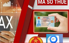 Được cấp mã số thuế, người nộp thuế cần kiểm tra ngay những thông tin này
